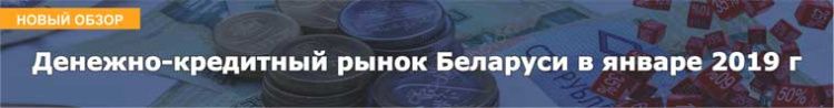 Денежно-кредитный рынок Беларуси в январе 2019 г 