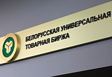 Резиденты Турции заметно нарастили сумму сделок на БУТБ в 2024 г 