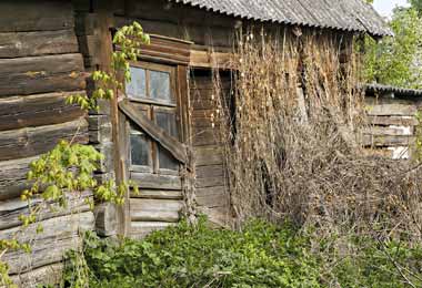 Единый реестр пустующих домов сформируют в Беларуси к 1 января 2023 г