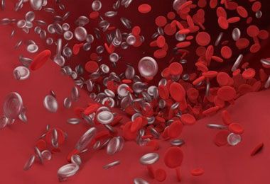 Ученые выявили прямую корреляцию между площадью висцерального жира и концентрацией протромботических факторов в крови. Фото: pixabay.com