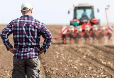 Лукашенко подписал указ о страховании сельхозпродукции на 2022 г