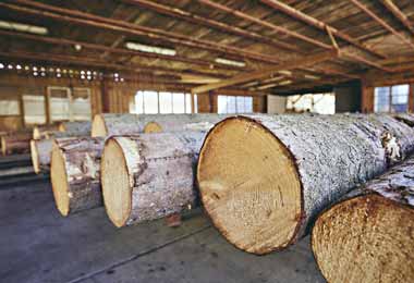 Минлесхоз разъяснил порядок приобретения древесины заготовленном виде физлицами