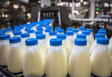 Сербия заинтересована в поставках белорусского молока для своего кондитерского производства