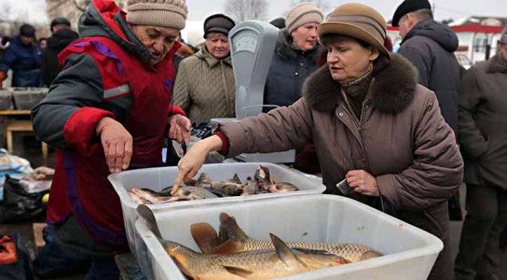 Первые рыбные ярмарки пройдут в Минске 22-24 ноября