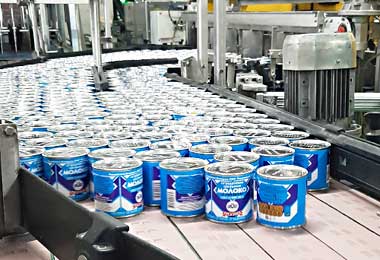 Рогачевский МКК поставит первую партию молочных консервов в Монголию