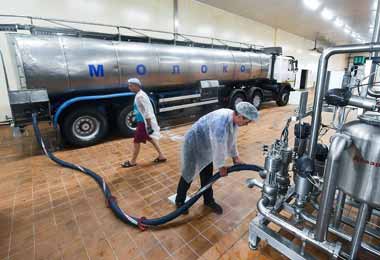 Россельхознадзор отменил ограничения на поставку в Россию пастеризованных сливок наливом с предприятия «Мозырские молочные продукты»