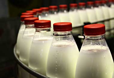 Еще пять белорусских молочных предприятий получили доступ на китайский рынок