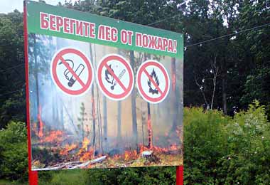 Правительство утвердило специфические требования по обеспечению пожарной безопасности в лесах