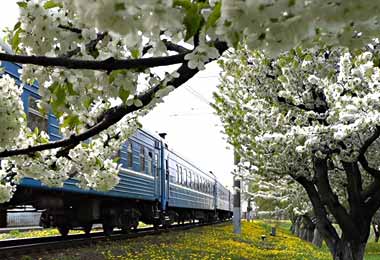 БЖД назначила уже более 100 дополнительных поездов на период майских праздников