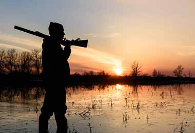 Весенний сезон охоты на вальдшнепа открывается в Беларуси с 18 марта