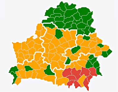 Запреты и ограничения на посещение лесов действуют уже в 80 районах Беларуси