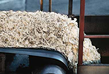 Четыре белорусских производителей жома сахарной свеклы получили допуск на рынок Китая 