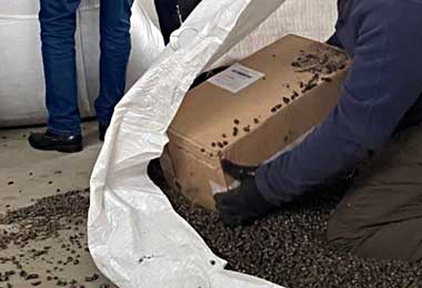 Рекордная контрабанда белорусских сигарет задержана в Литве в конце 2022 г