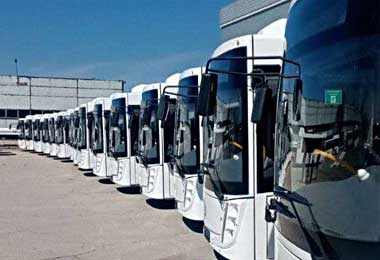МАЗ поставил 19 автобусов в Тольятти