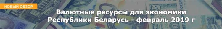Валютные ресурсы для экономики Республики Беларусь - февраль 2019 г