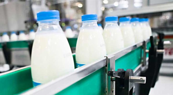 В Грузии планируют открыть молочный завод с белорусским капиталом