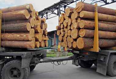 Отдельные правила транспортировки древесины планируют изменить в Беларуси