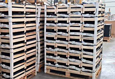 Белорусская таможня пресекла незаконную транспортировку груш и корма для животных в Россию — ГТК