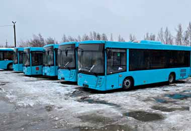 МАЗ поставил более 300 автобусов в Санкт-Петербург