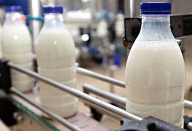 Россельхознадзор снял ограничения на поставки молочной продукции с трех белорусских предприятий