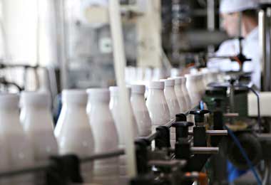 Совместное белорусско-узбекское молочное предприятие открыто в Ташкентской области