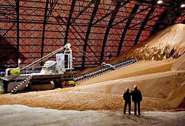 Беларусь поставит 450 тыс тонн калийных удобрений в Бангладеш