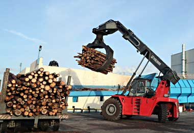 Лукашенко поручил решить проблему доставки балансовой древесины на Светлогорский ЦКК