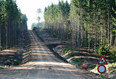 Более 100 километров лесохозяйственных дорог построено в Беларуси в 2019 г