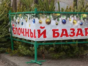 Елочные базары в Беларуси откроются с 18 декабря 