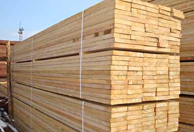 Экспорт лесопродукции через БУТБ в апреле вырос на 9%