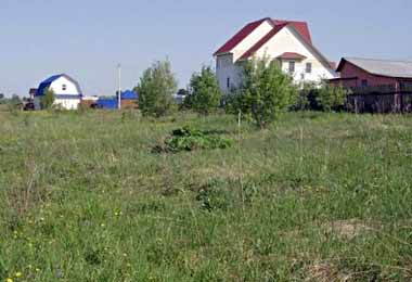 Госкомимущество напомнило о порядке покупки дачного участка в Беларуси