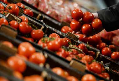 Цены на сельхозпродукцию в ЕАЭС в августе 2022 г снизились на 1%