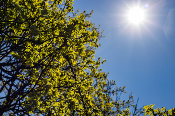 В Беларуси объявлено штормовое предупреждение из-за аномальной жары в предстоящие три дня