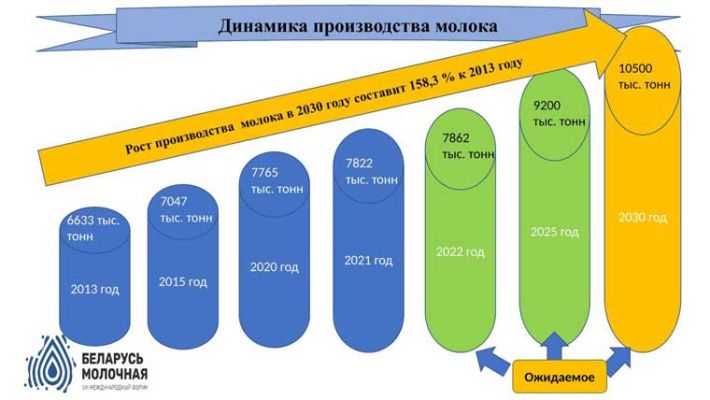 В Беларуси произведено 5,8 млн тонн молока за девять месяцев 2022 г