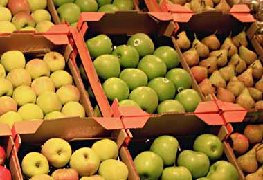 Правительство расширило перечень исключений из продовольственного эмбарго