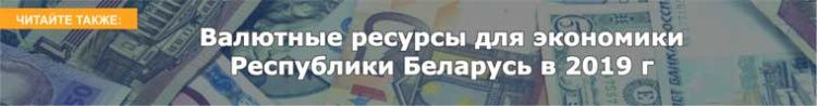 Валютные ресурсы для экономики Республики Беларусь в 2019 г 