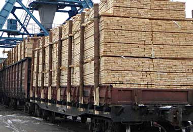 Беллесбумпром предлагает лицензировать экспорт твердолиственных пород древесины