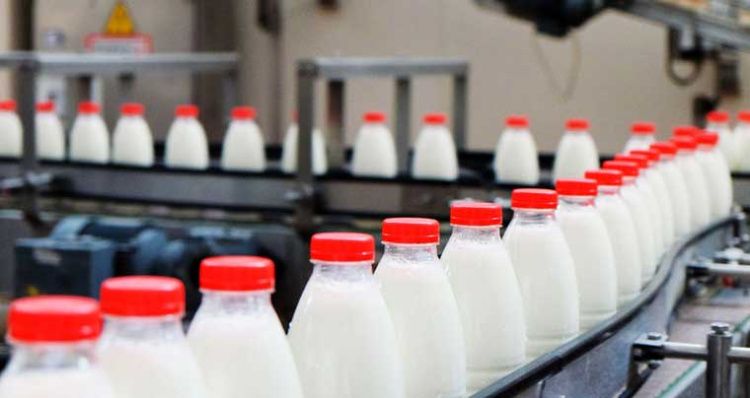Четырем белорусским молокозаводам расширили перечень поставляемой продукции на китайский рынок
