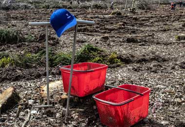 Критерии организации работ по наведению порядка на земле определены в Беларуси