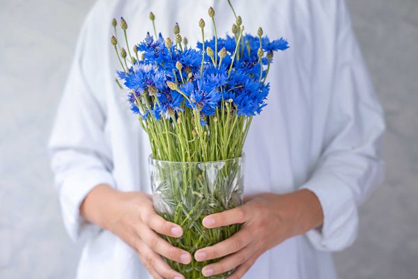 Компания Б1 выпустила новое издание справочника «Ведение бизнеса в Республике Беларусь»