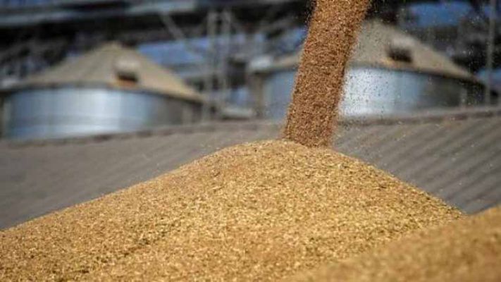 ЕАЭС разработает биржевые инструменты по торговле зерном