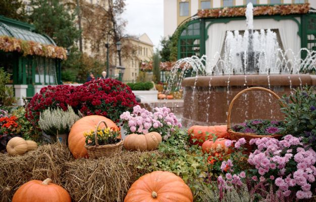 Теплая компания: Москва приглашает на осенний фестиваль