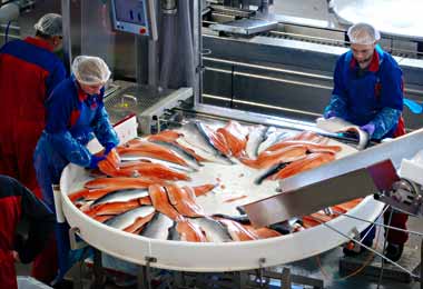 Рост производства и торговли продукцией аквакультуры зафиксирован в ЕАЭС