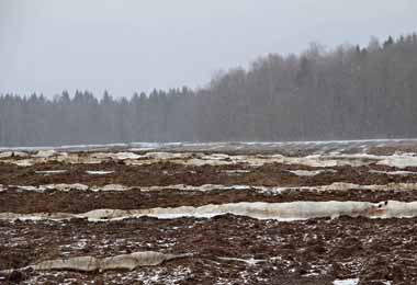 Прокуратура выявила нарушения земельного законодательства в Гродненской области