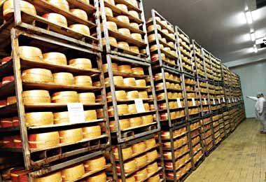 Беларусь экспортировала сыров почти на 1 млрд долл за 11 месяцев 2021 г