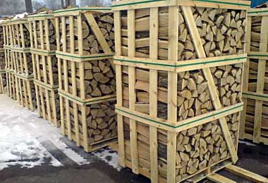 Беларусь наложила вето на решение ЕЭК о запрете экспорта необработанной древесины