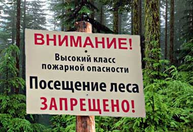 Минлесхоз инициирует введение запретов и ограничений на посещение лесов по всей Беларуси