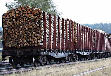 Литовские железные дороги с 4 июня прекратят перевозку еще ряда белорусской продукции — Снопков