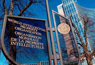 Беларусь готова выступить площадкой для реализации пилотных проектов ВОИС — ГКНТ