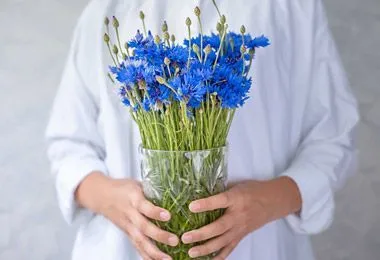 Компания Б1 выпустила новое издание справочника «Ведение бизнеса в Республике Беларусь»